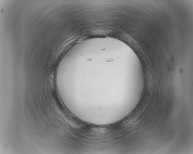 X0000053070071200508081230