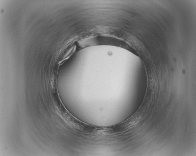 X0000053070072200508081230