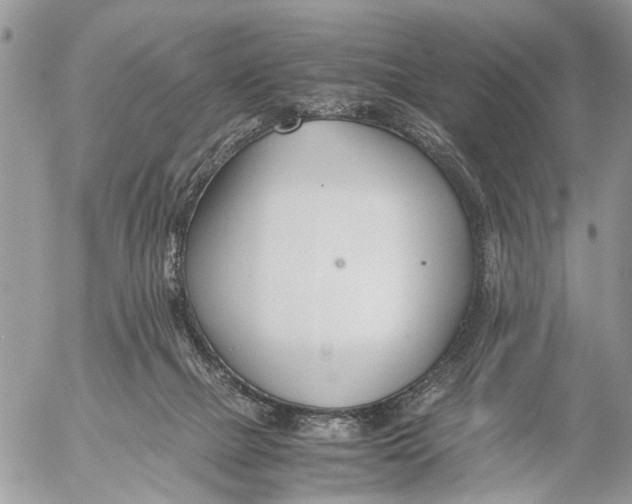 X0000053070073200508081230