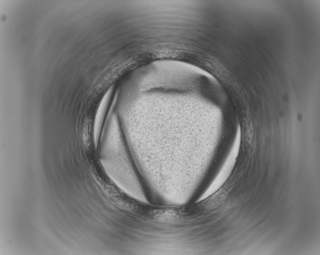 X0000053070074200508081230