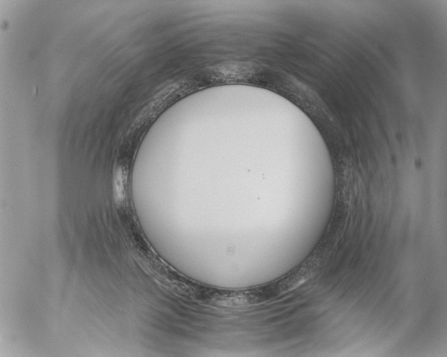 X0000053070075200508081230