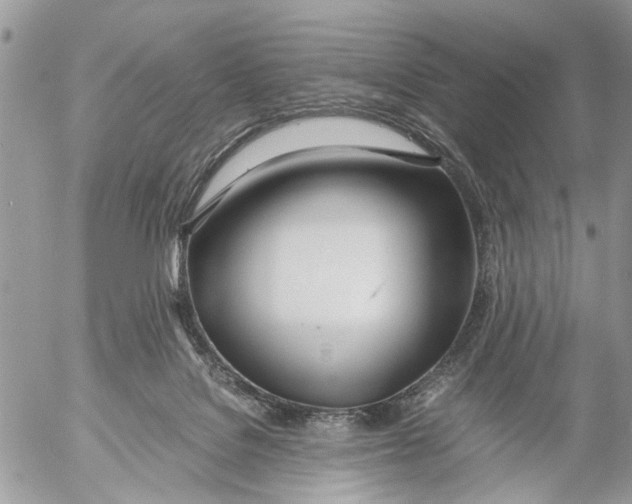 X0000053070076200508081230