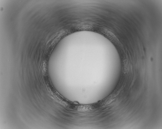 X0000053070077200508081230