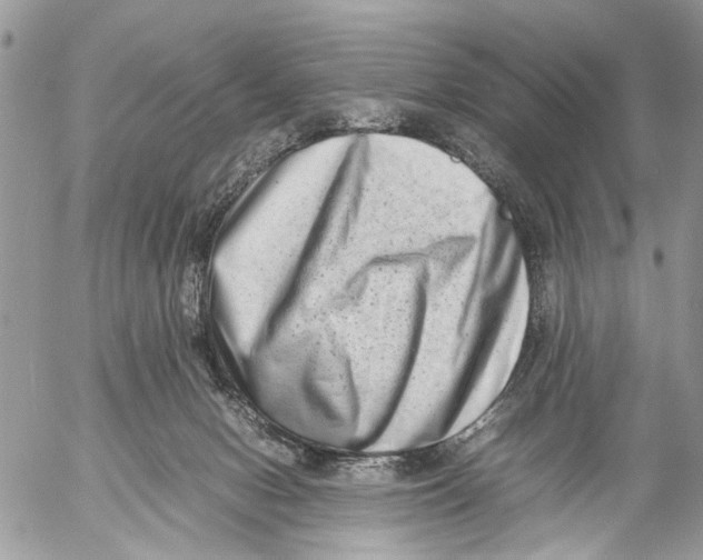 X0000053070078200508081230