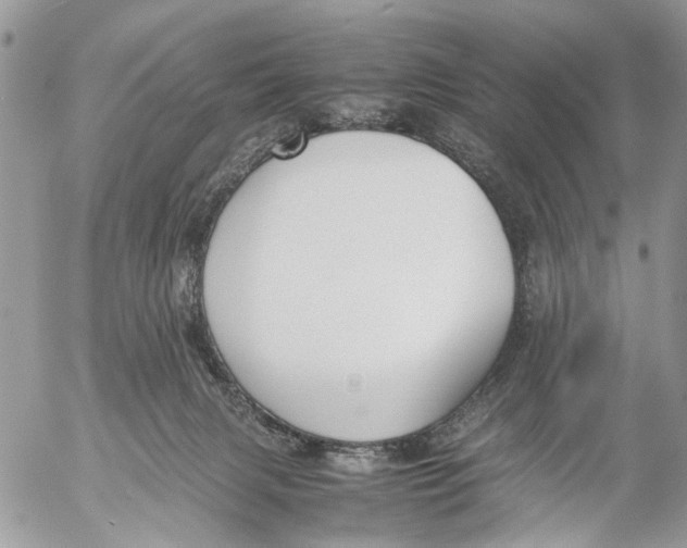 X0000053070079200508081230