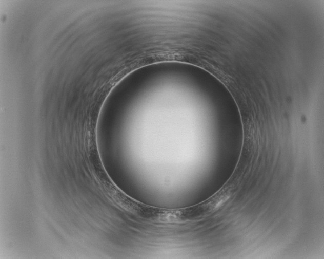 X0000053070080200508081230