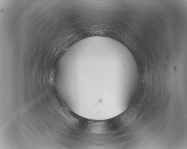 X0000053070081200508081230