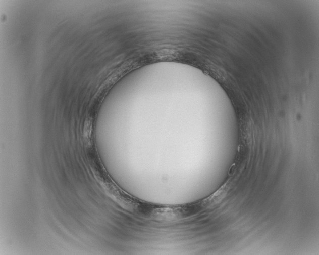 X0000053070082200508081230