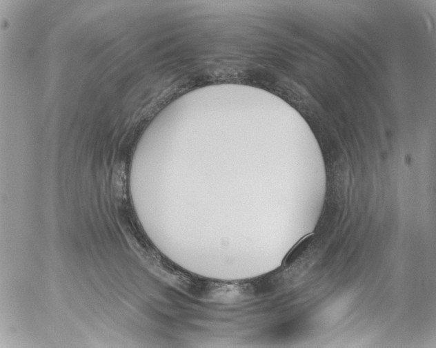 X0000053070083200508081231