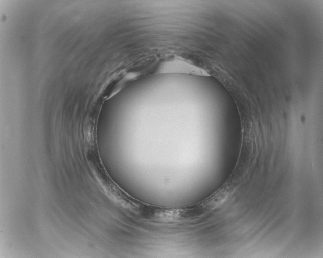 X0000053070084200508081231