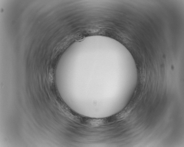 X0000053070085200508081231