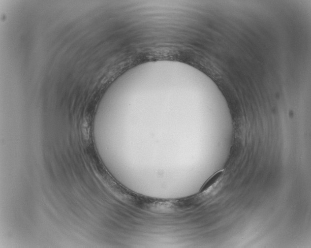 X0000053070086200508081231