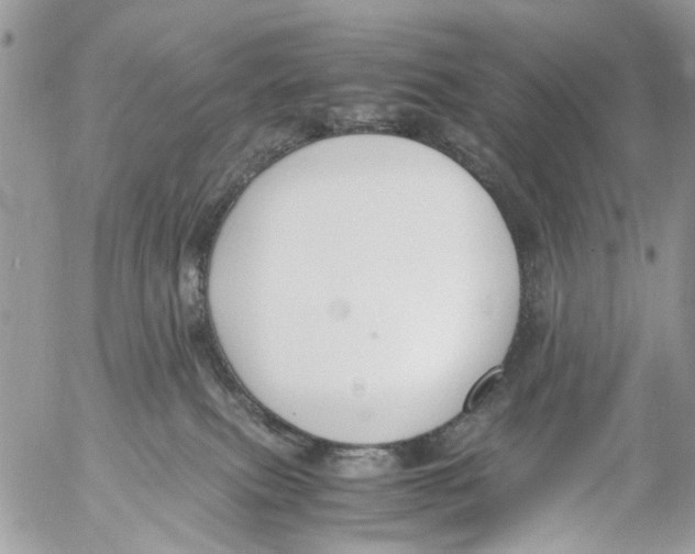 X0000053070087200508081231