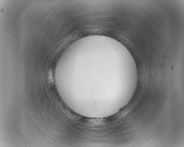 X0000053070089200508081231