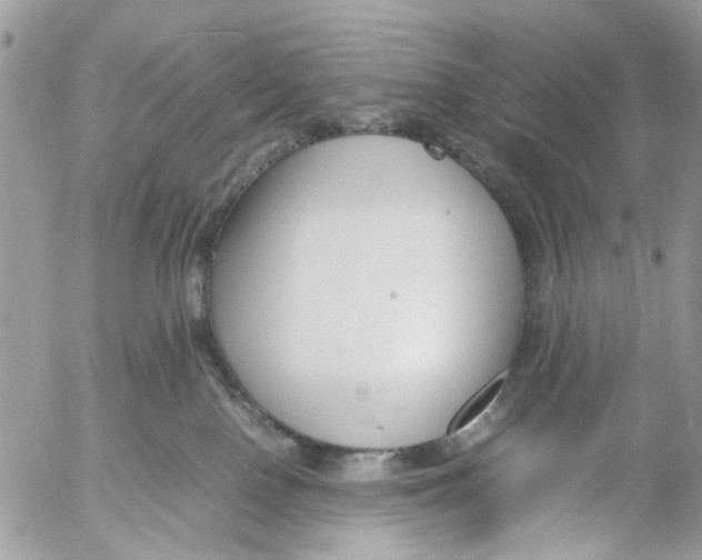 X0000053070090200508081231