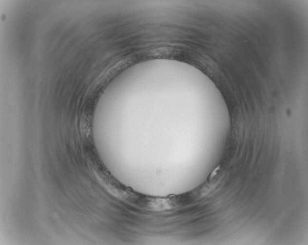 X0000053070091200508081231