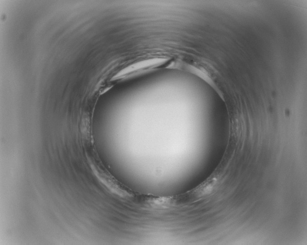 X0000053070092200508081231