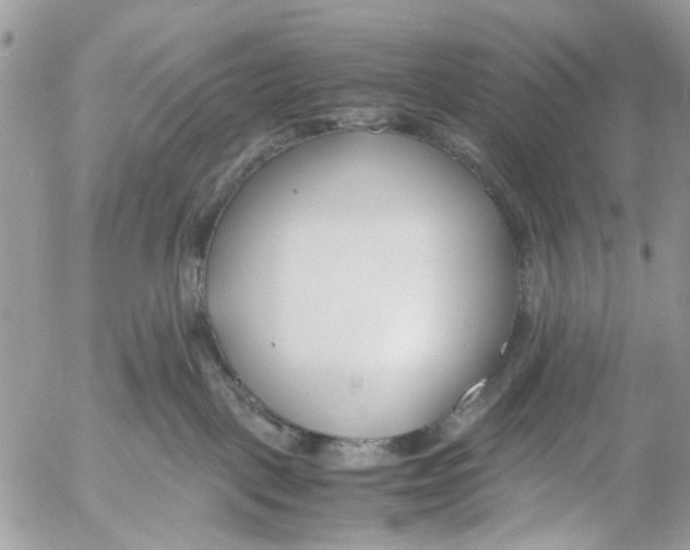 X0000053070093200508081231