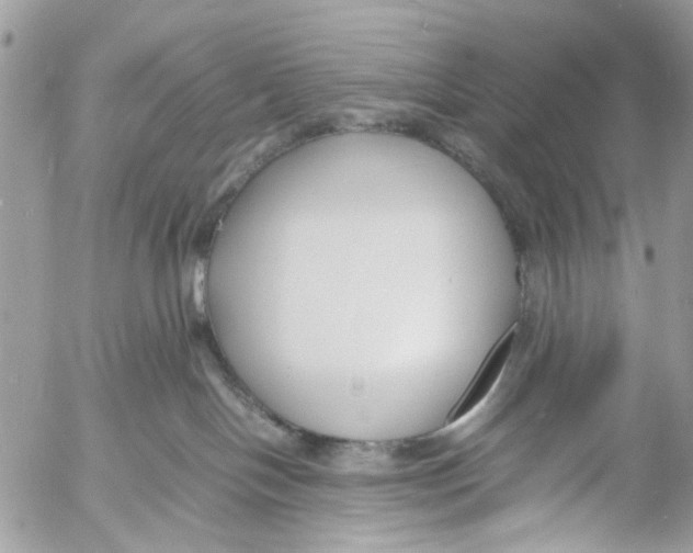 X0000053070094200508081231