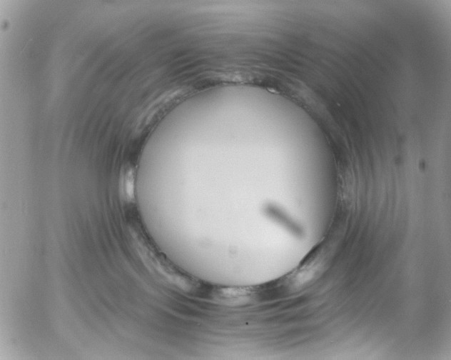 X0000053070095200508081231