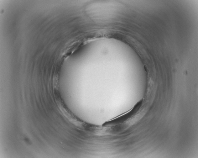 X0000053070096200508081231