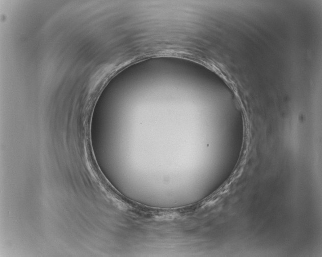 X0000053070097200508081230