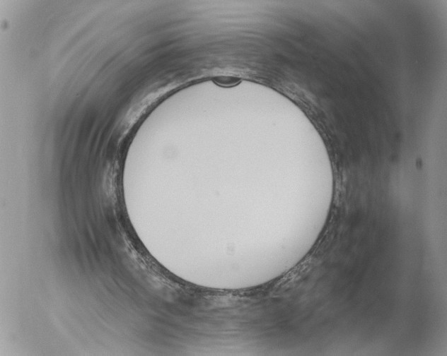 X0000053070098200508081230