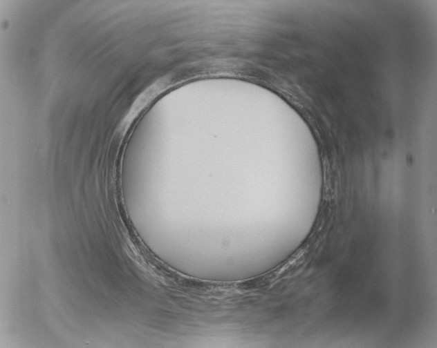 X0000053070099200508081230