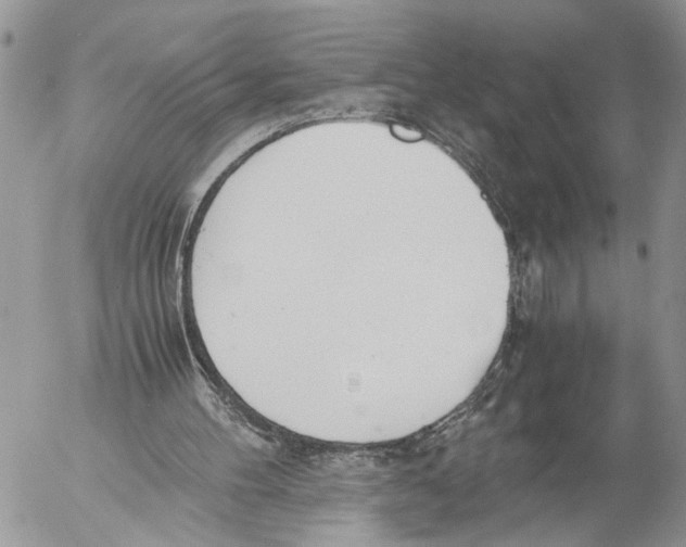 X0000053070100200508081230