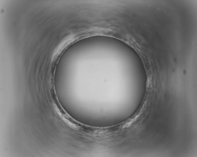 X0000053070101200508081230