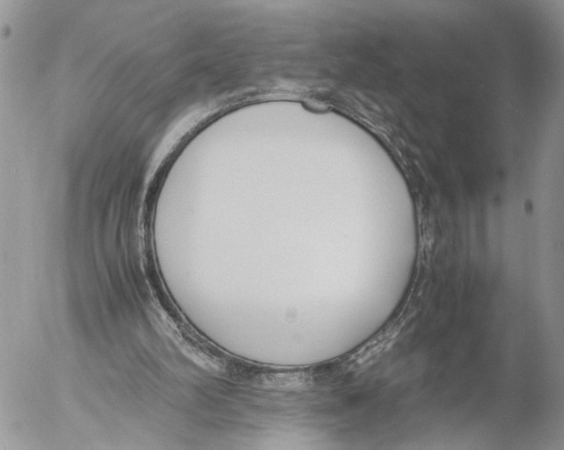 X0000053070102200508081230