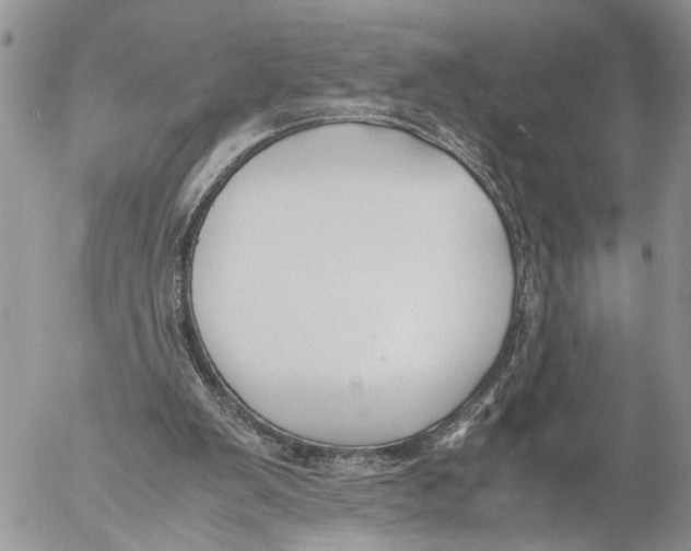 X0000053070103200508081230