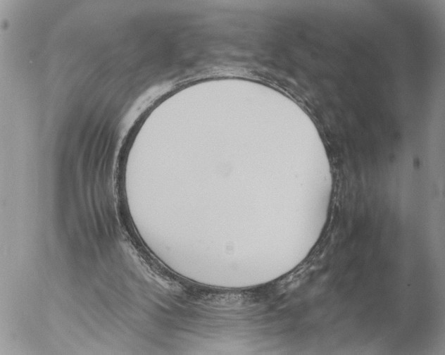 X0000053070104200508081230