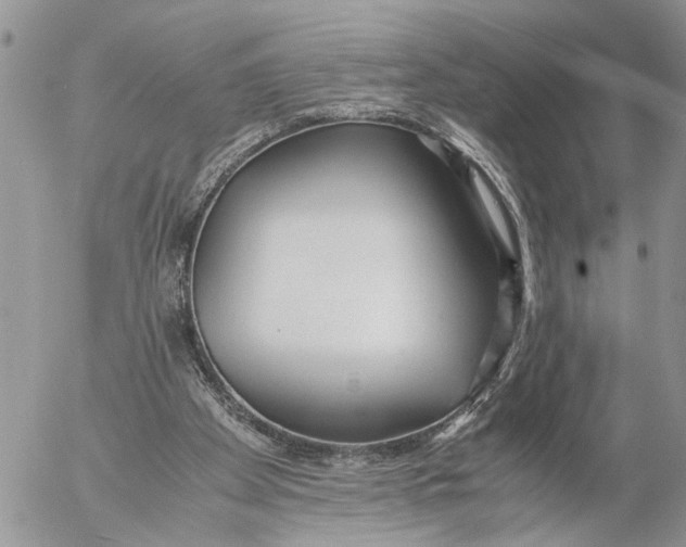 X0000053070105200508081230