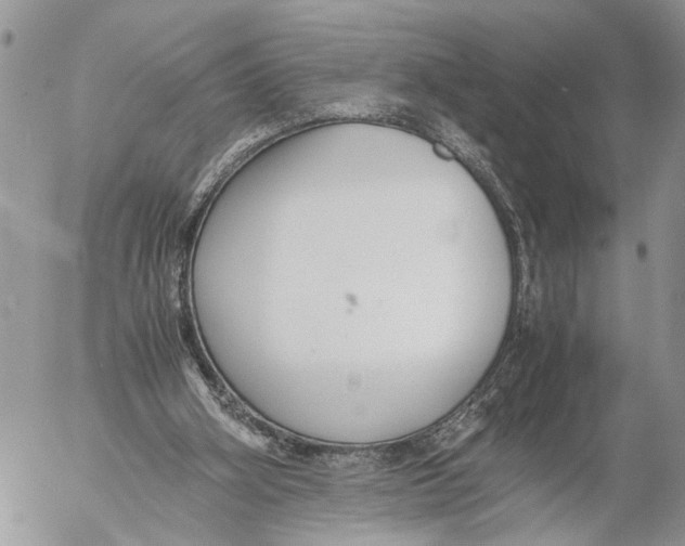 X0000053070106200508081230