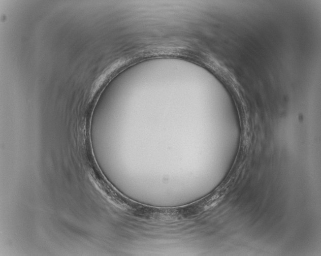 X0000053070107200508081230