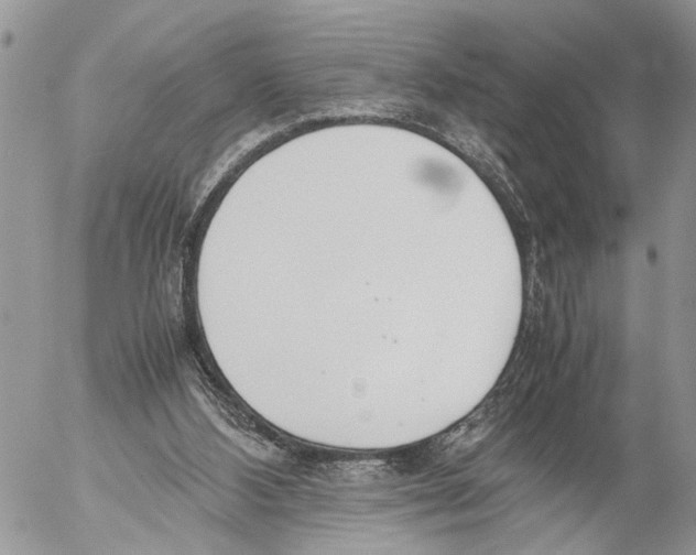 X0000053070108200508081230