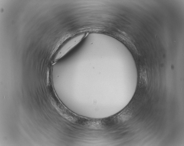 X0000053070110200508081230