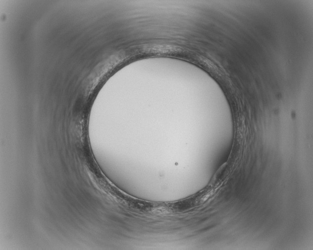 X0000053070111200508081230