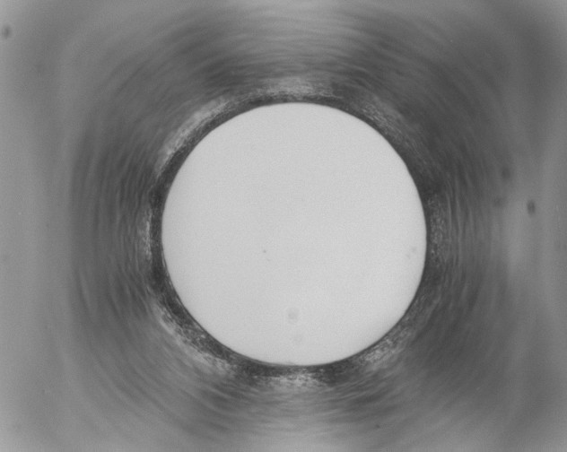 X0000053070112200508081230