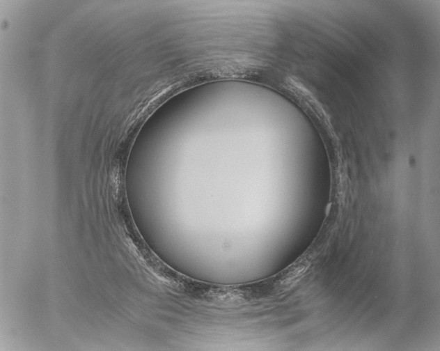 X0000053070113200508081230