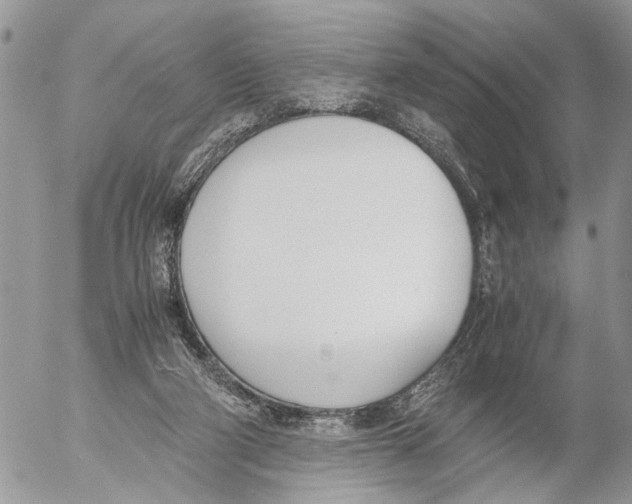 X0000053070114200508081230