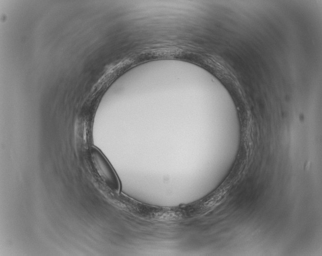 X0000053070115200508081230