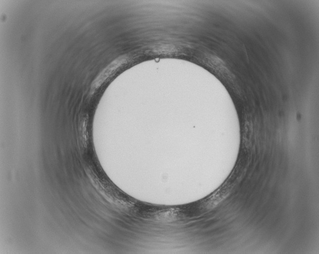 X0000053070116200508081230