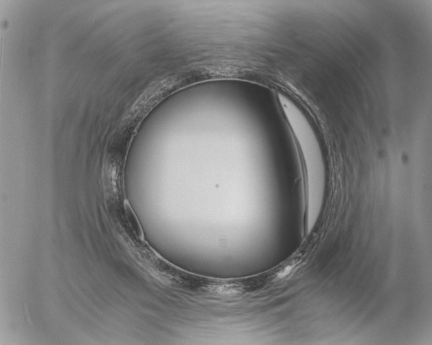 X0000053070117200508081230