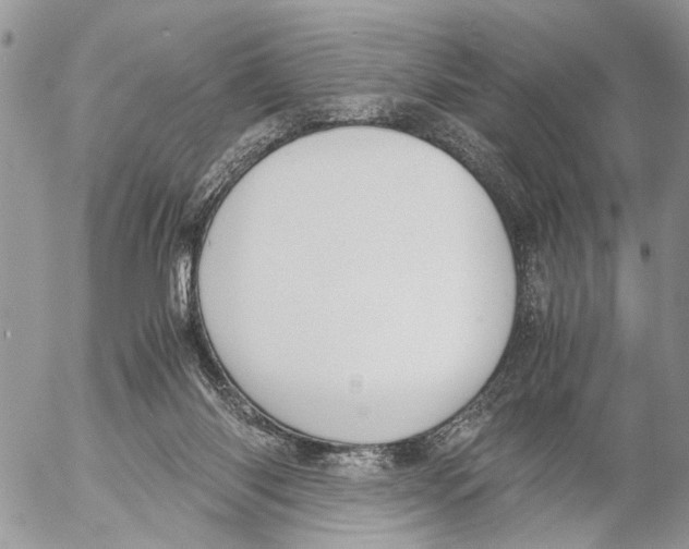 X0000053070118200508081230