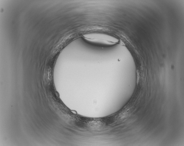 X0000053070119200508081230