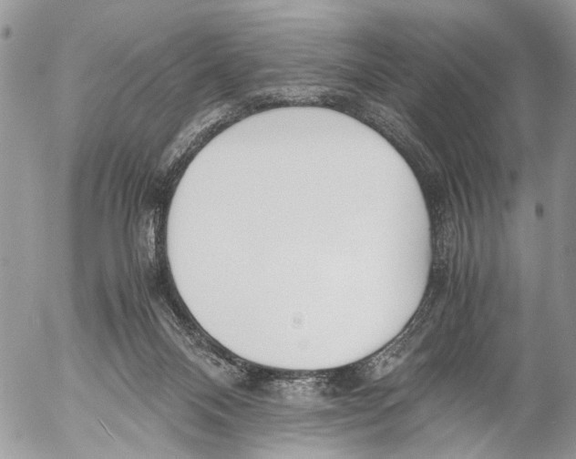 X0000053070120200508081230