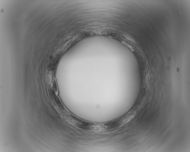 X0000053070121200508081230