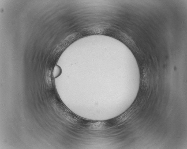 X0000053070122200508081230